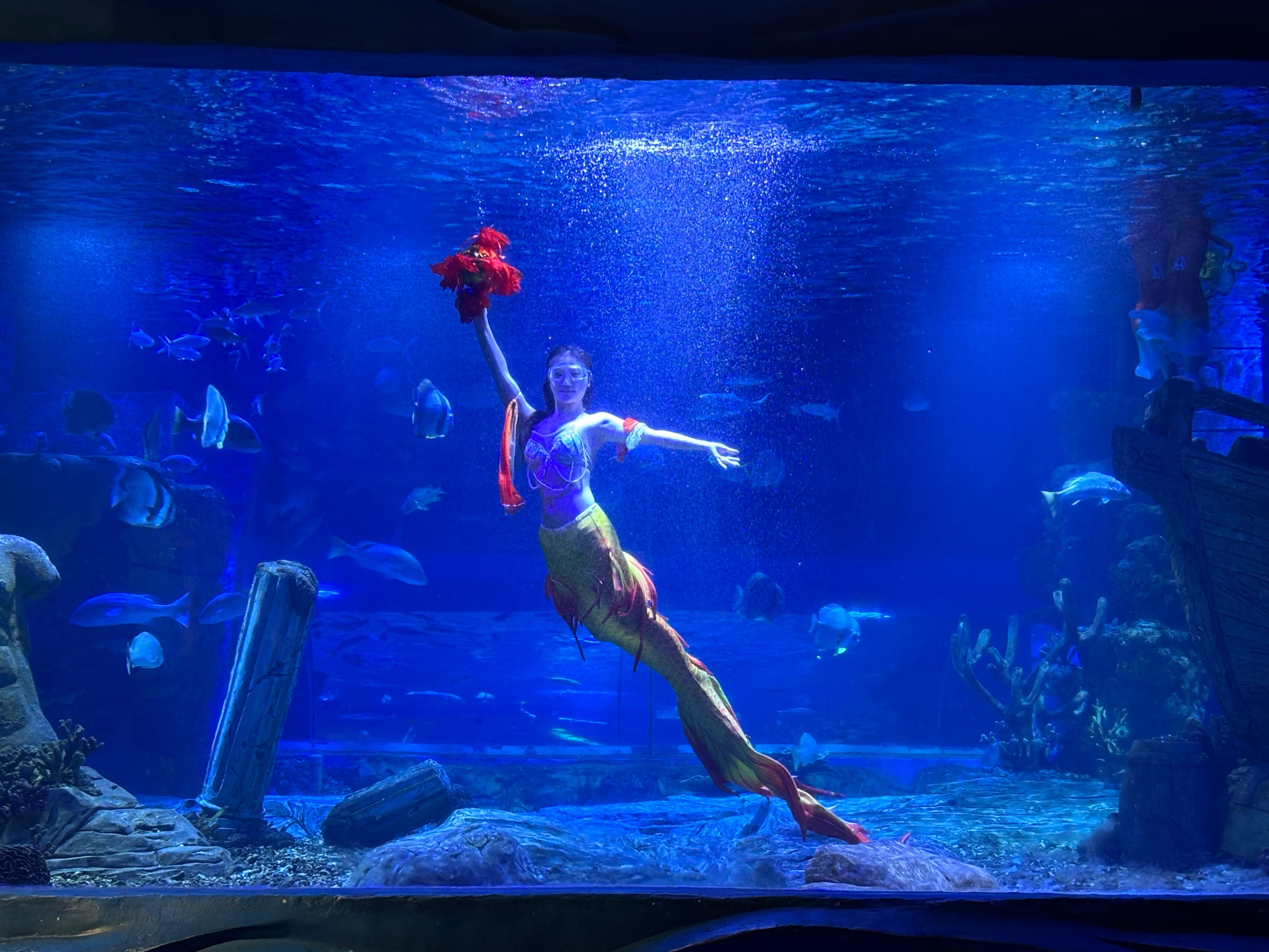 爱游戏综合娱乐-特色海域潜水乐园，探索海底奇观的神秘之门的简单介绍