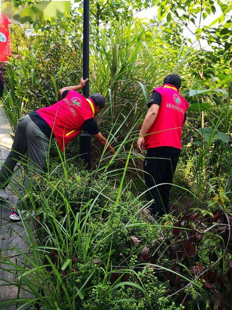 青少年“绿色先锋”篮球公益行动在哈尔滨持续开展,践行环保理念的简单介绍 青少年“绿色先锋”篮球公益行动在哈尔滨持续开展,践行环保理念的简单介绍