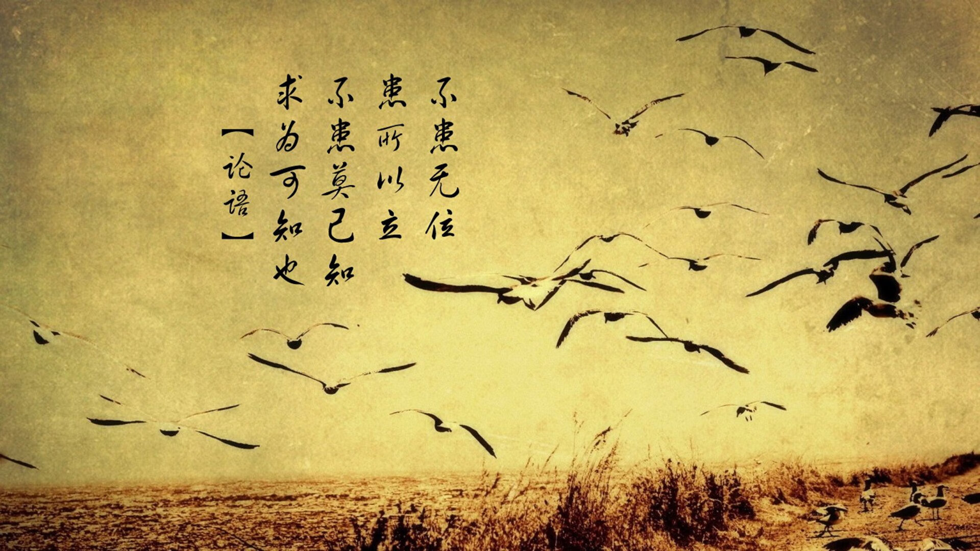 _速度飙升:城市极限赛道全攻略_,城市赛车极速漂移的兑换码