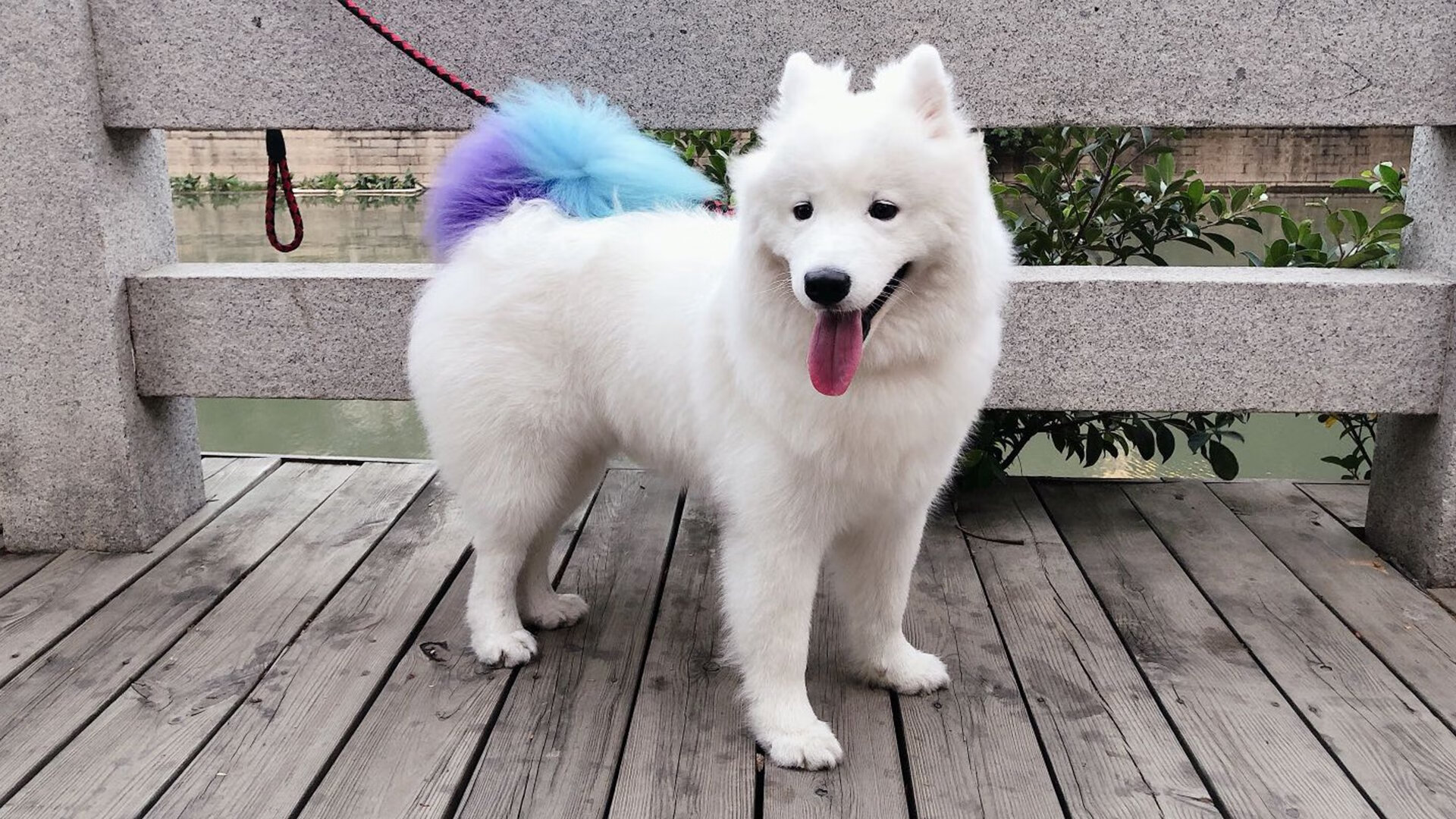 中国足球商业化进程加快赞助商持续增长，中国足球商业化什么时候开始的