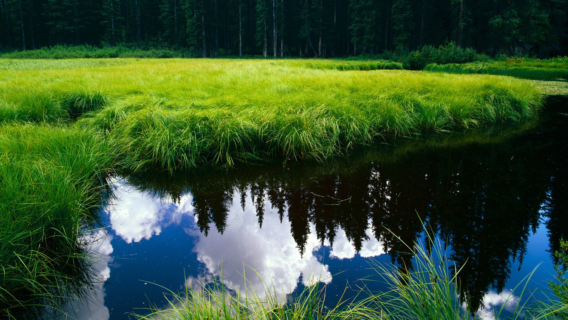 克罗地亚手球队在巴黎奥运会上展示了高水平的战术执行力,克罗地亚 奥运会