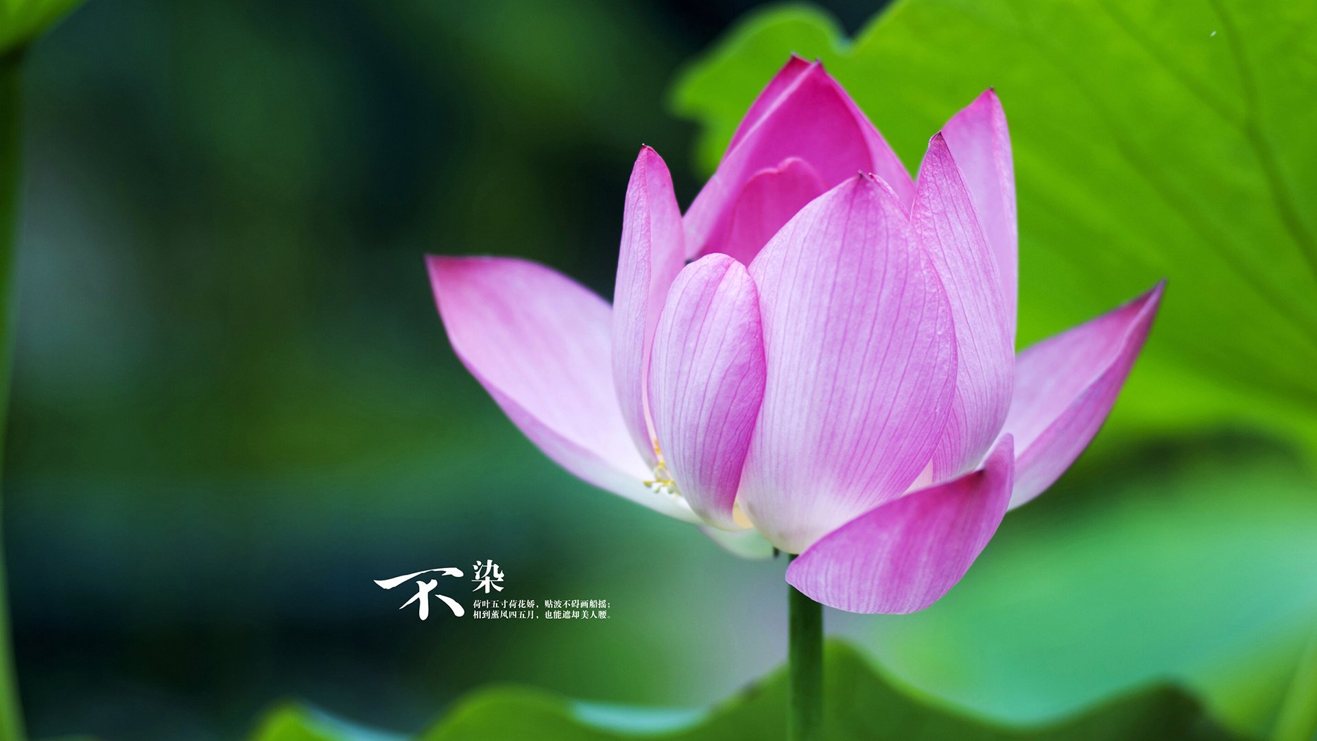 AIYOUXI.COM-史上“最极端”的比赛：极限条件下的惊心动魄，极端最高气温是什么意思