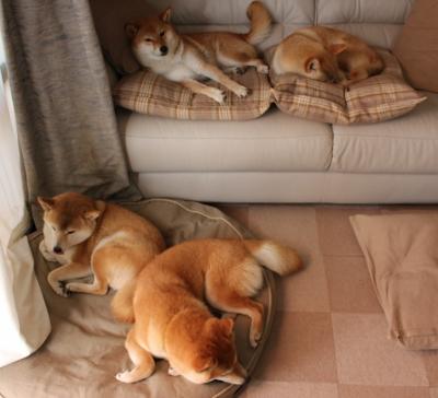 数字化管理平台赋能全国青训,全行业迈入新阶段,数字化平台网址