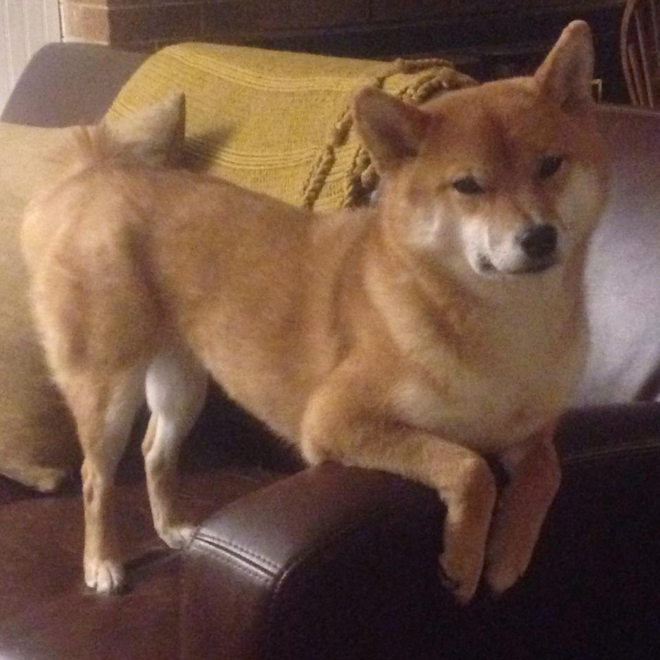 爱游戏体育（AYX）官方APP下载-足球公益项目走进残障学校开展互动，足球公益活动策划方案