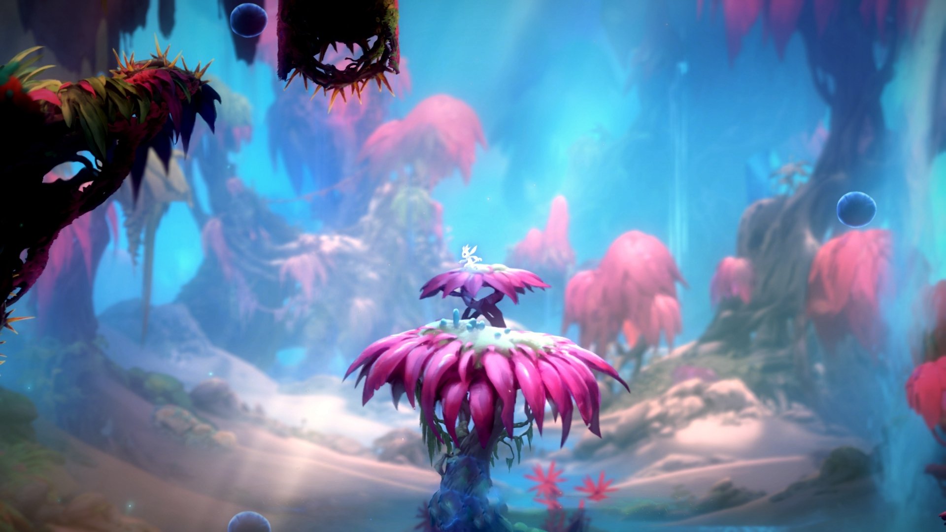 AYX SPORTS-重大人事变动：球队管理层的最新调整，球队领导如何分工