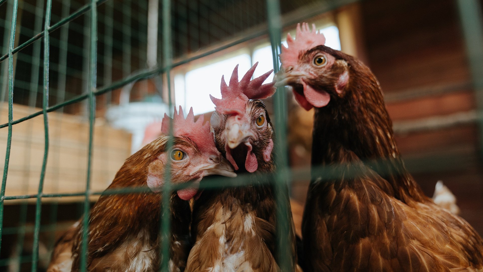 高校电竞专业持续火热:新兴“未来职业”引领产业升级,电竞专业发展前景