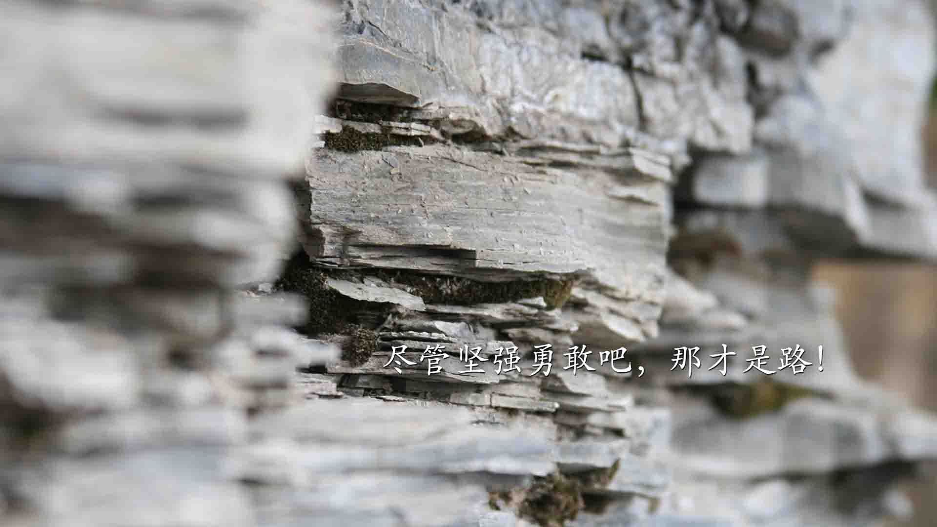 梅斯是否能完成保级目标,梅斯青训