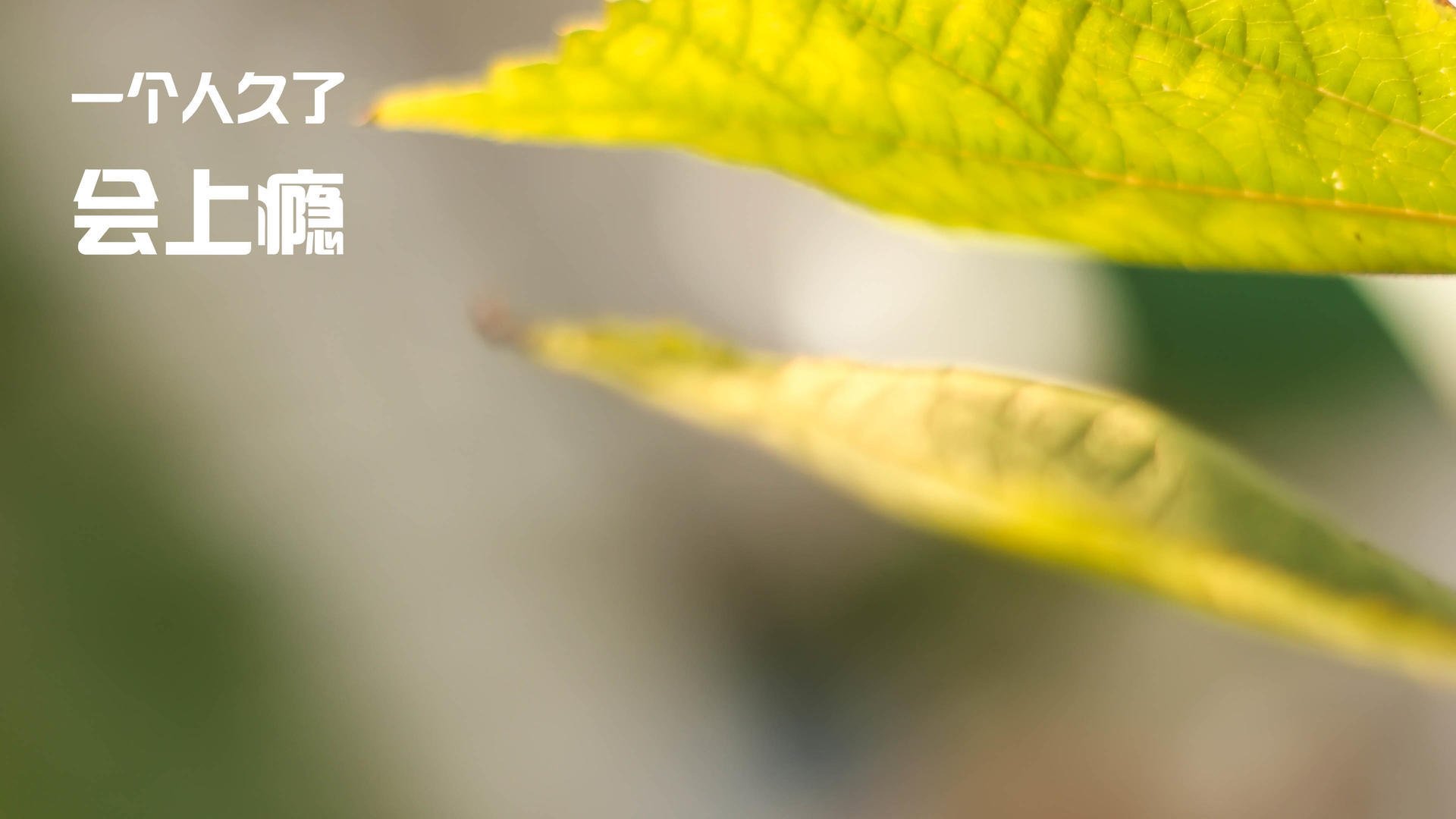 中国足球比赛中临时指令改变战术路径统计,足球临场指挥方案