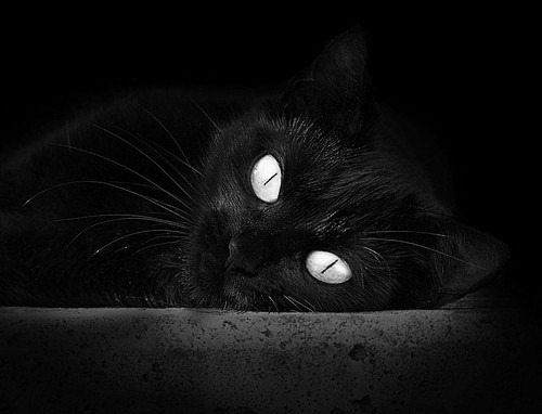 体育教学资源数字化转型路径探索，体育数字化改革方案