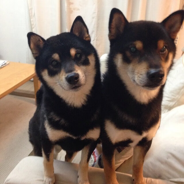 俱乐部成长故事:从基层青训到世界舞台,俱乐部打造