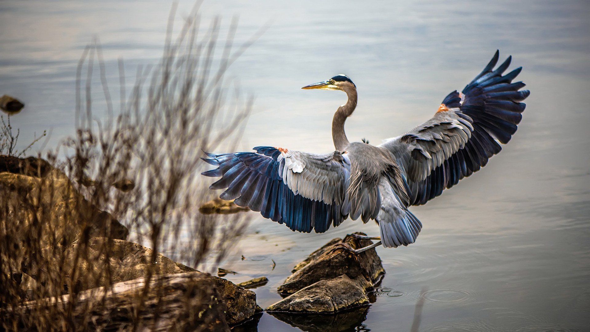 国足比赛下半场得分数据研究,国足下半场惹不起