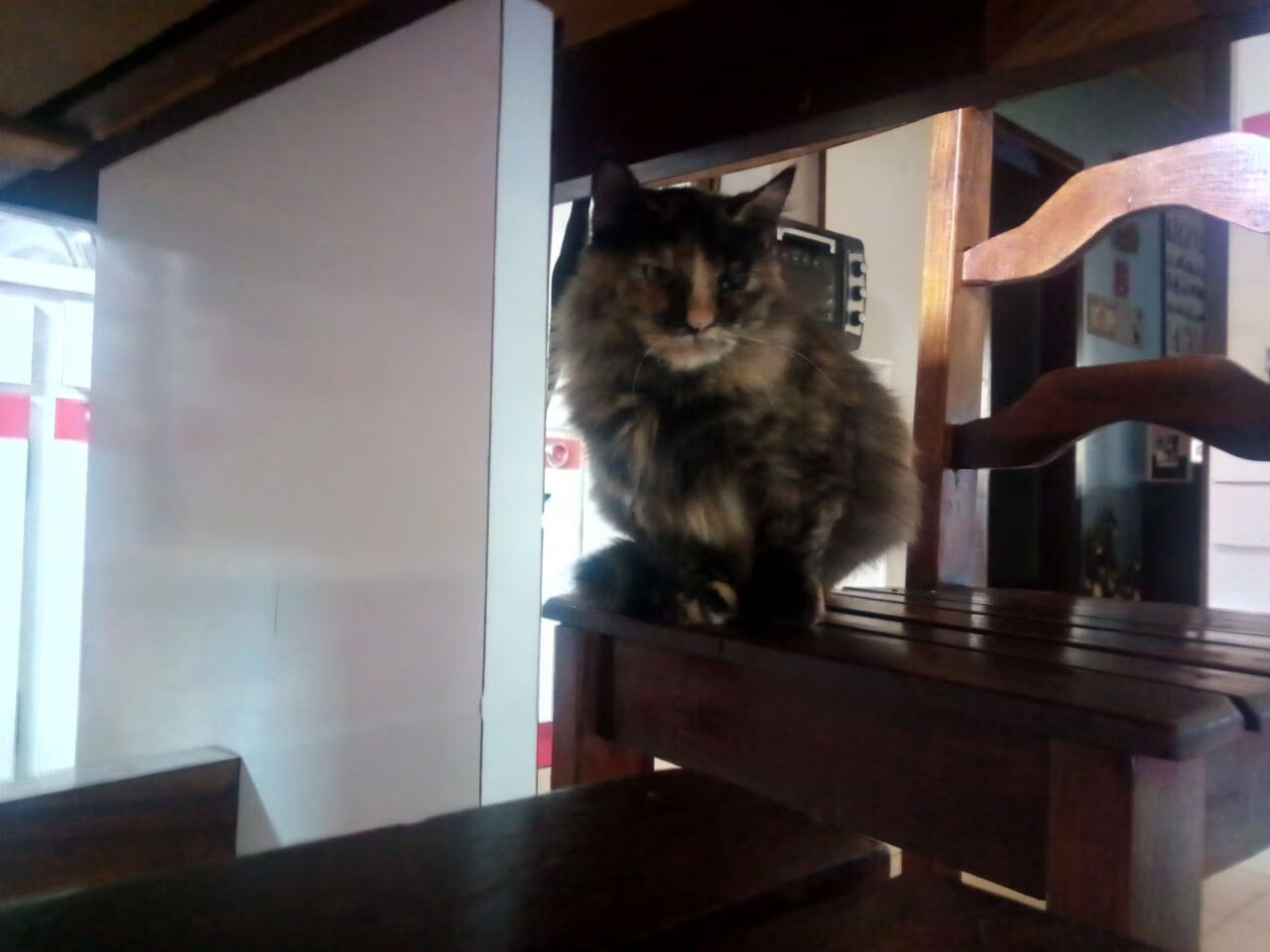 篮球运动员专项技能训练课程体系设计与实施方案,篮球专项训练内容