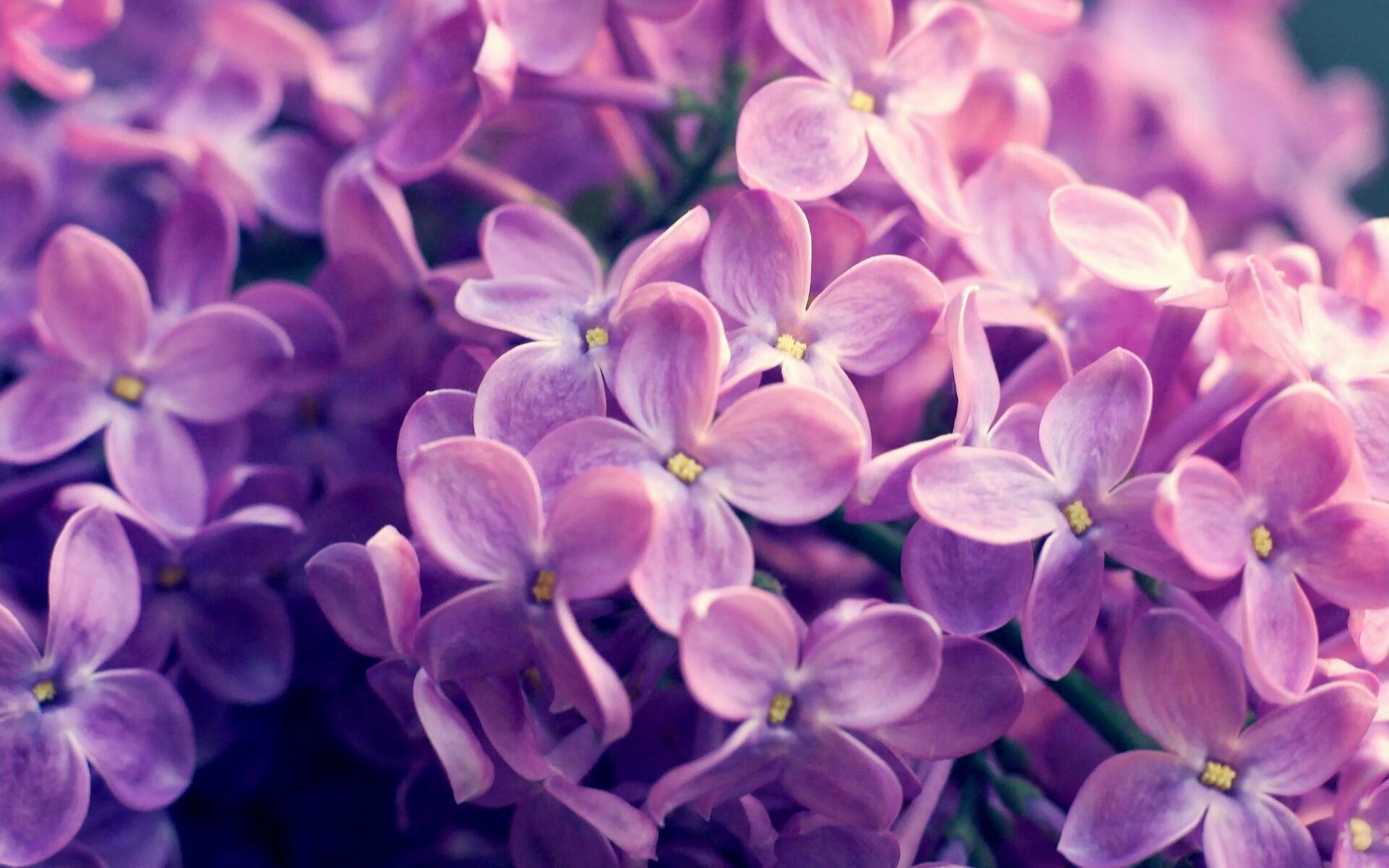 体育新闻中心联合多方探索体育内容分发精准化路径,体育新闻分类