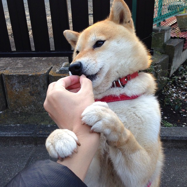 爱游戏中国官方网站平台-俱乐部战略规划不合理，俱乐部战略性计划