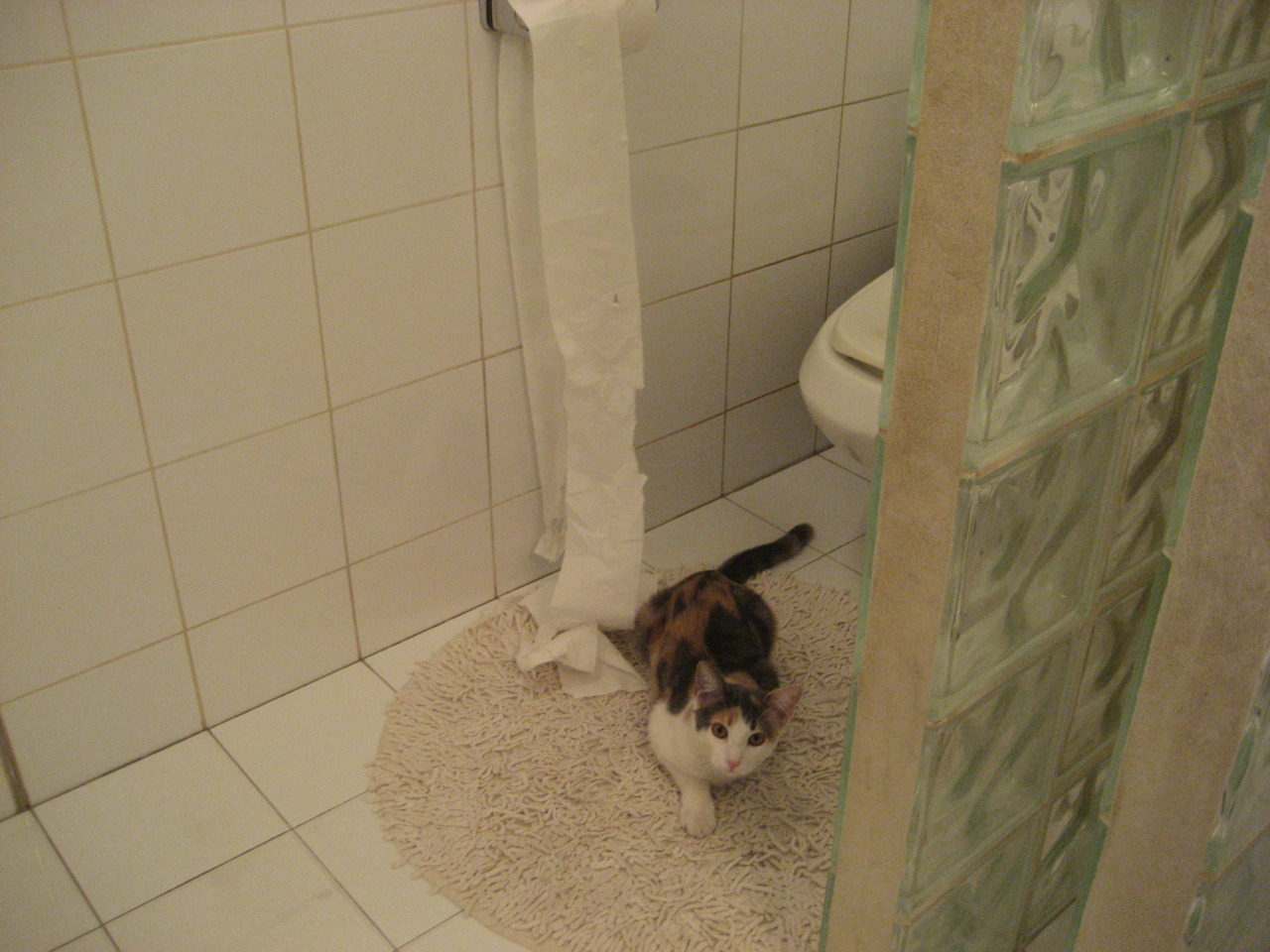 羽毛球混双新组合连胜晋级国际大赛四强，羽毛球系列赛