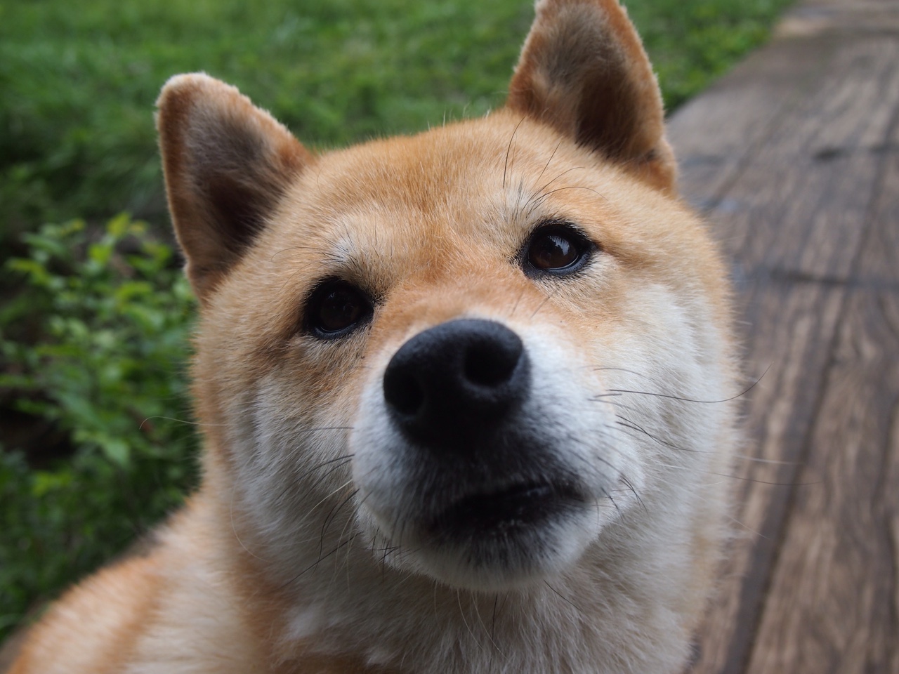 爱游戏官网-巴黎圣日耳曼再度夺冠，法甲霸主地位稳固