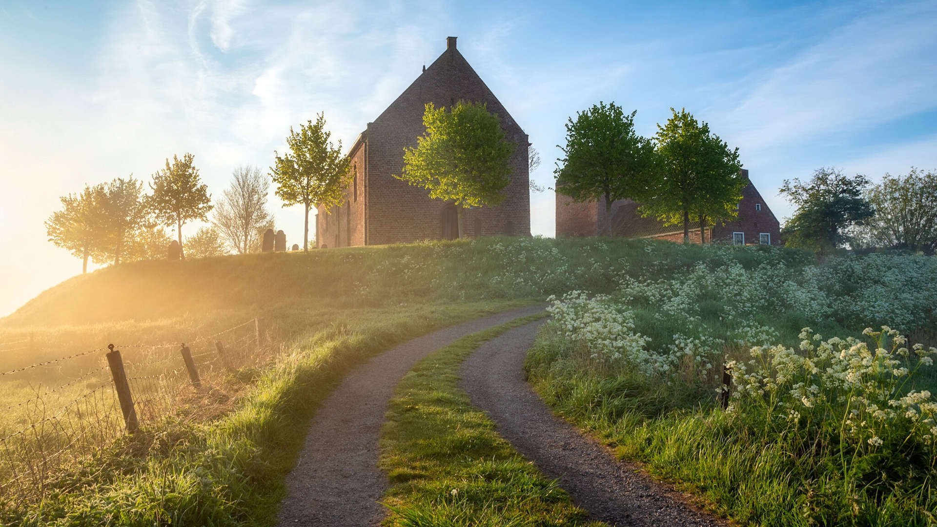 爱游戏娱乐-德甲策略多变：攻击、守备战术层出不穷！，德甲解析