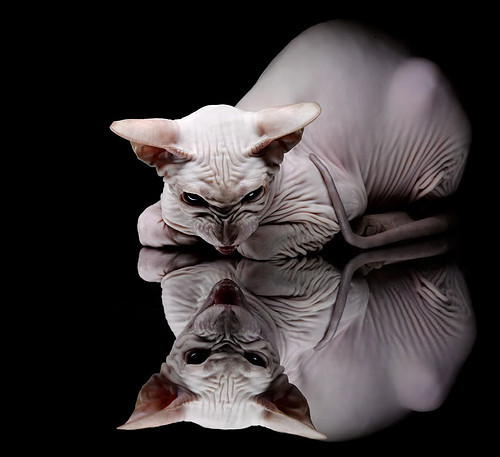 意甲劲敌交锋:攻防间的智慧博弈,意甲对阵