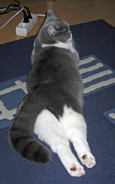 骑士高层参与训练旁听体现管理层对球队支持，骑士的教练是都有谁